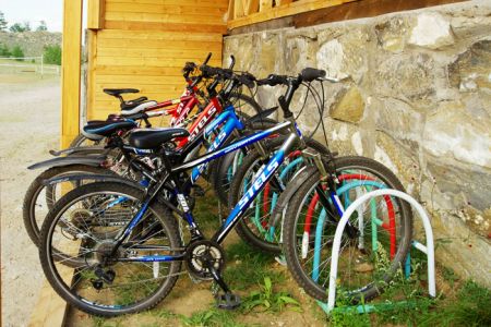 Внешний вид