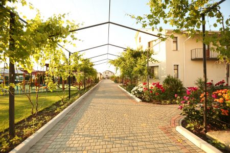 Внешний вид