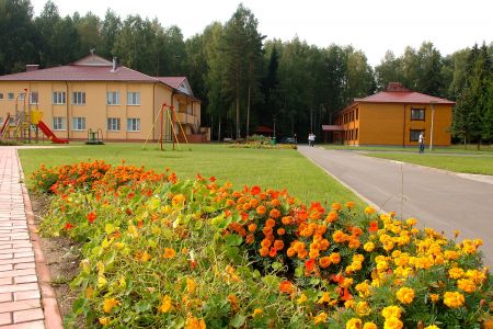 Внешний вид