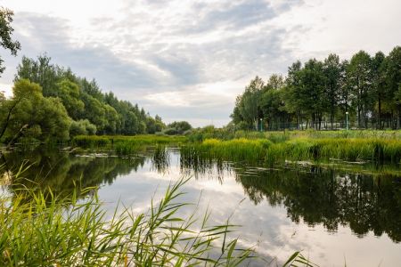 Входная группа