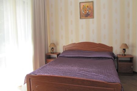 Номер Повышенной Комфортности 2-местный B (парк)