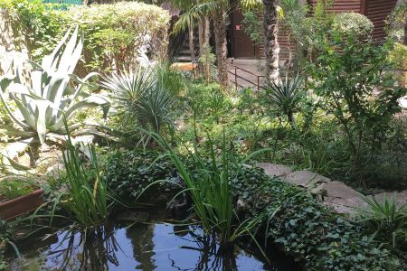 «Морской Бриз» пансионат