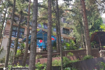 «Морской Бриз» пансионат