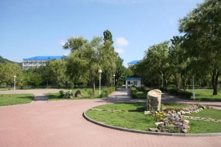 Внешний вид