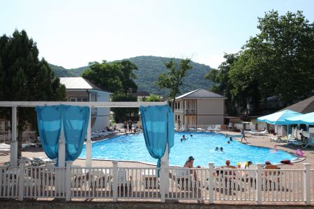 Внешний вид