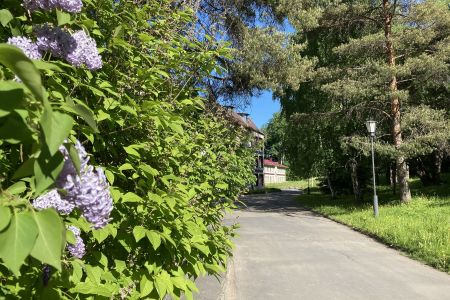 Внешний вид