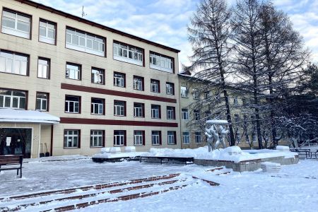 Внешний вид