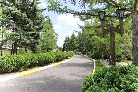 Внешний вид