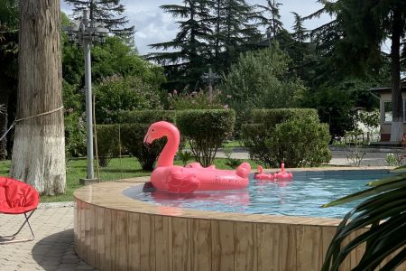 Внешний вид