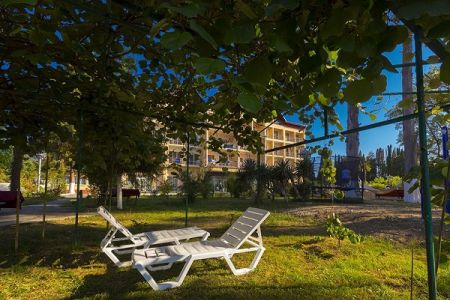 Внешний вид