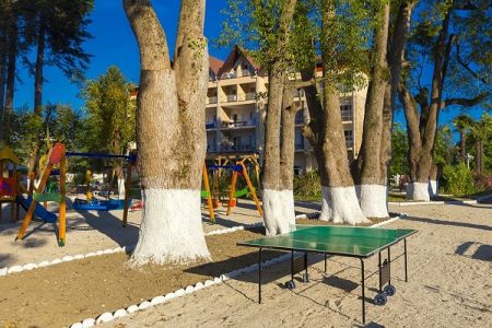 Внешний вид