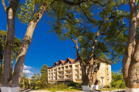 Внешний вид