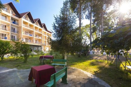 Внешний вид