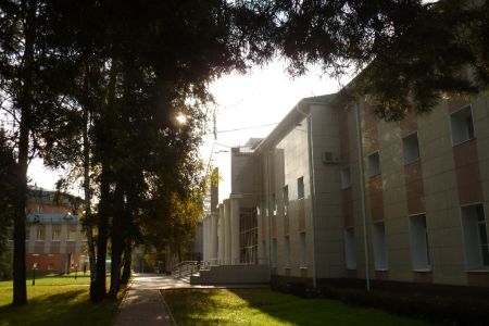 Внешний вид