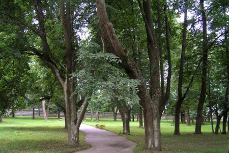 Внешний вид