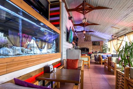 Внешний вид