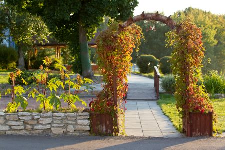 Внешний вид