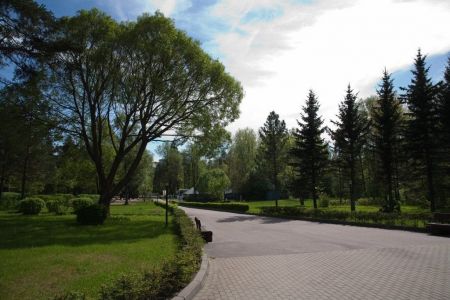 Внешний вид