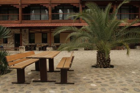 Внешний вид