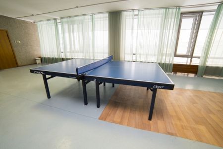 Настольный теннис