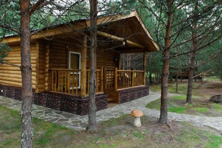 Внешний вид