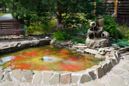 Внешний вид