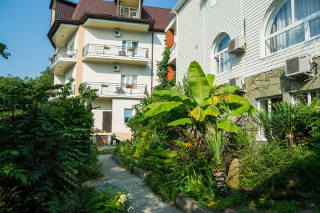 Внешний вид