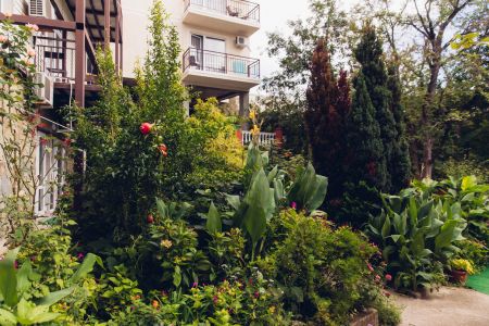 Внешний вид