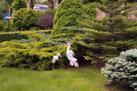 Внешний вид