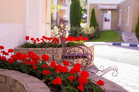 Внешний вид