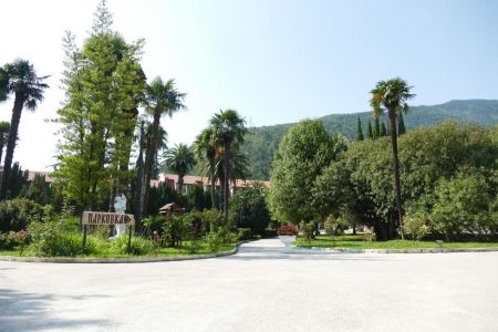 Внешний вид