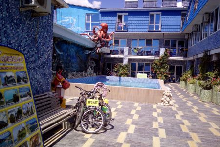 Внешний вид