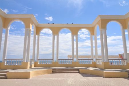 Внешний вид