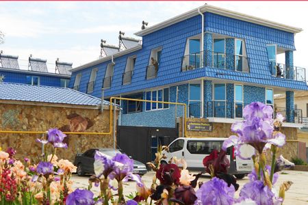 Внешний вид