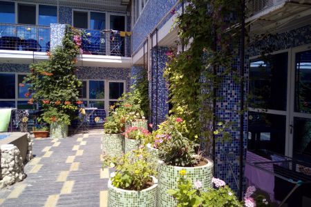 Внешний вид