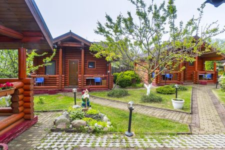 Внешний вид