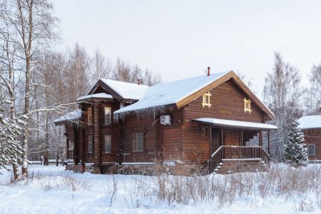 Внешний вид