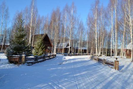 Территория