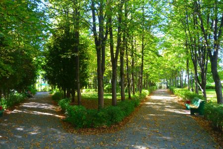 Внешний вид