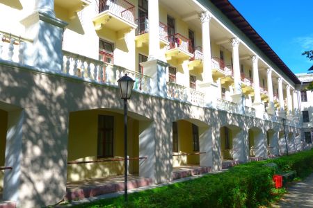 Внешний вид