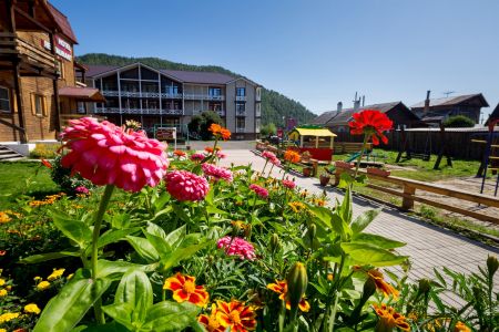 Внешний вид