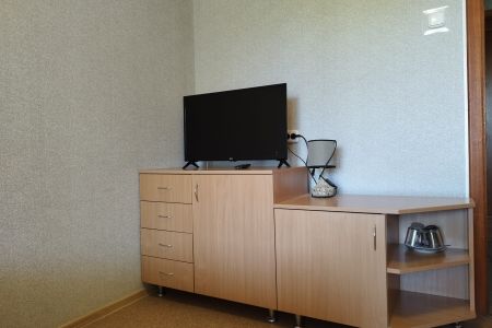 Стандартный 1-местный