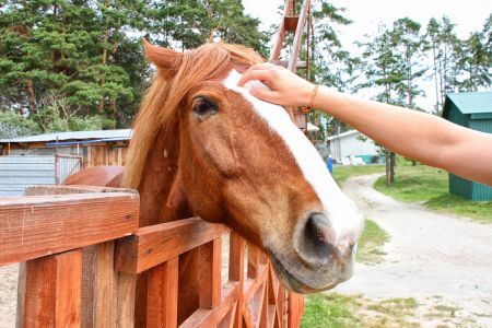 Игровые автоматы