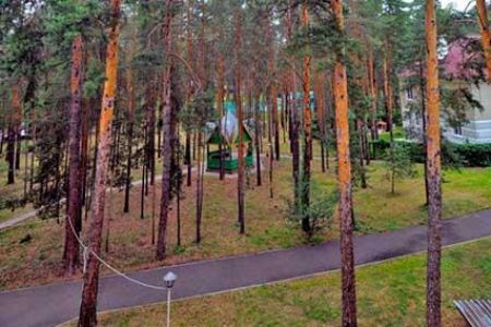 Внешний вид