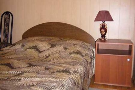 Внешний вид