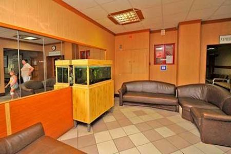 Внешний вид