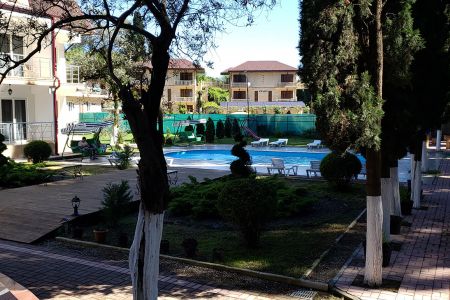 Внешний вид