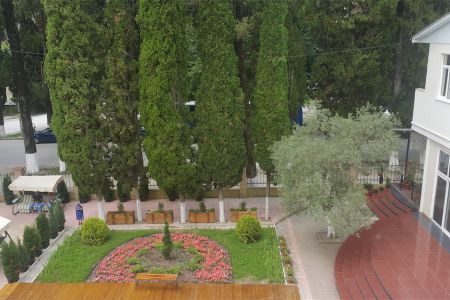 Внешний вид