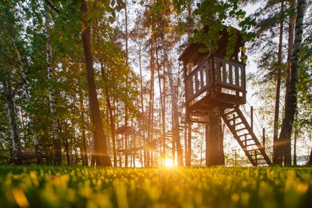 Внешний вид