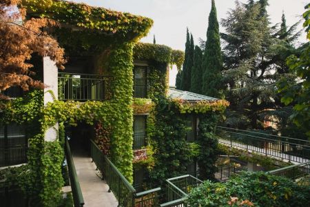 Внешний вид